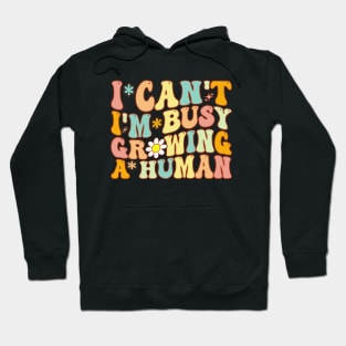 Groovy I Can't I'm Busy Growing A Human For Pregnant Women Hoodie